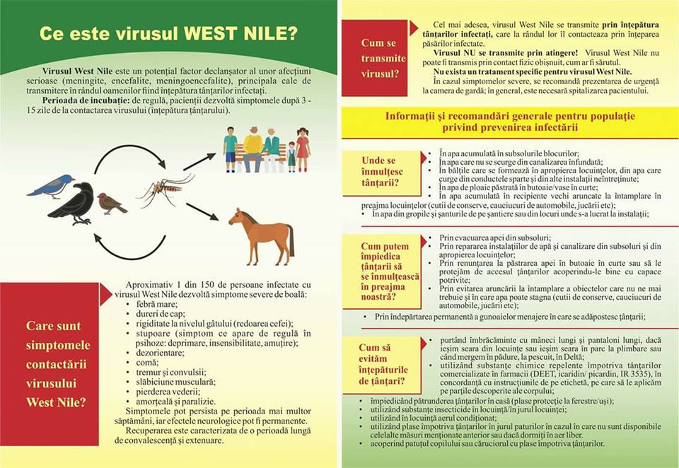 Pliant-virusul-WEST-NILE.jpg