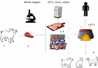 Trichineloza - informații utile