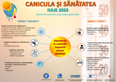 Poster Canicula